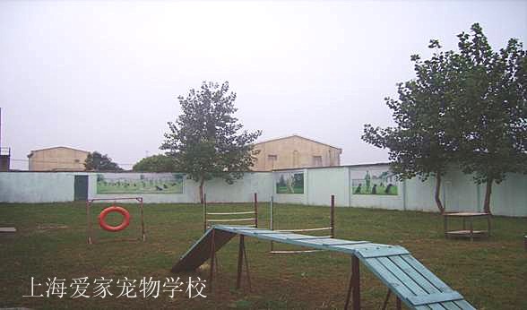 1490754671126057.jpg