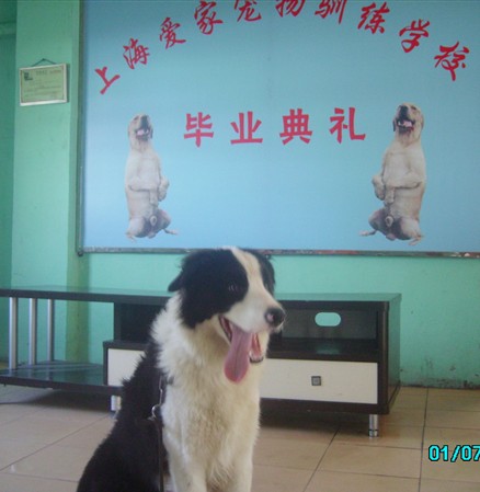 20110323133914225.jpg