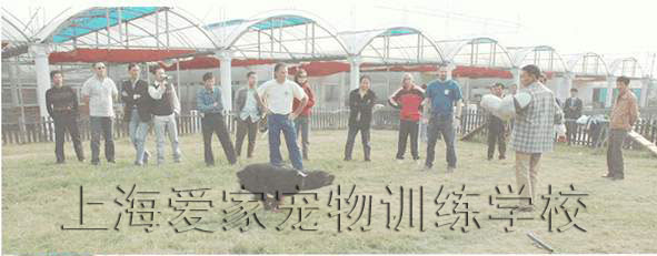 1490753944676846.jpg 45.JPG