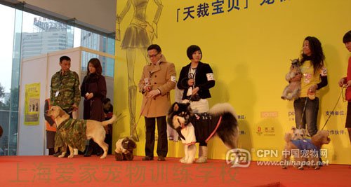 1490754042830255.jpg 179437-2.jpg