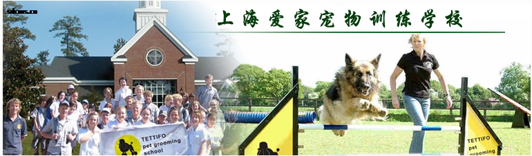 爱家训狗学校.jpg