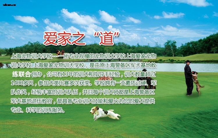 T2aVM0XPlXXXXXXXXX-36431986.jpg T2aVM0XPlXXXXXXXXX-36431986.jpg