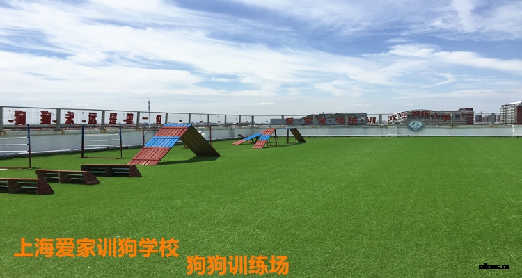 爱家训狗基地.jpg