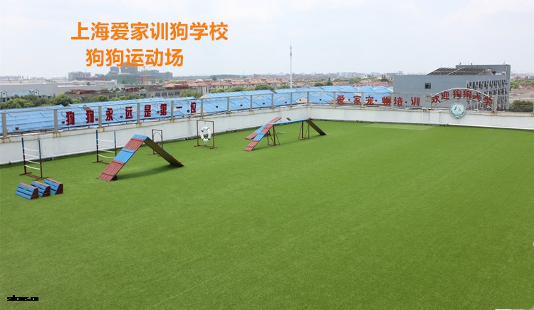 上海爱家宠物学校.jpg 上海爱家宠物学校.jpg