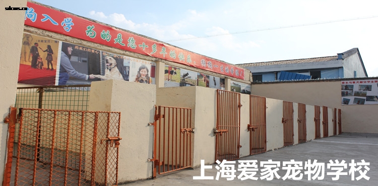 750狗狗活动空间1.jpg 750狗狗活动空间1.jpg