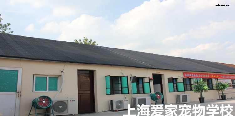 750爱家训狗校舍 (1).jpg 750爱家训狗校舍 (1).jpg