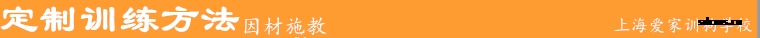 训狗定制训练方法.png 训狗定制训练方法.png
