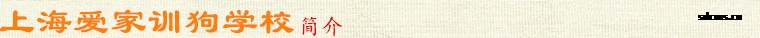 训狗爱家简介.jpg 训狗爱家简介.jpg