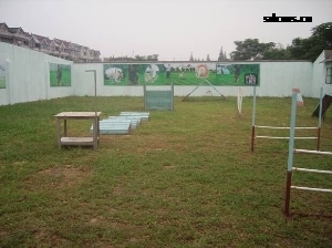 狗狗运动敏捷训练