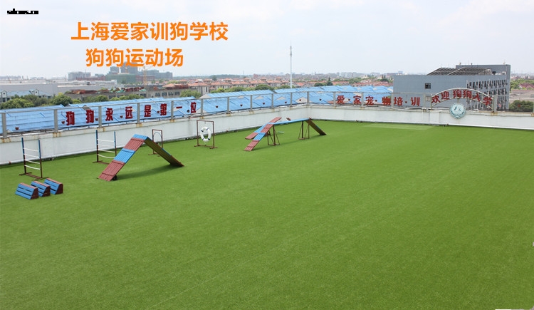 上海爱家宠物学校.jpg