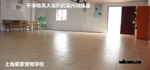 训狗室内训练场