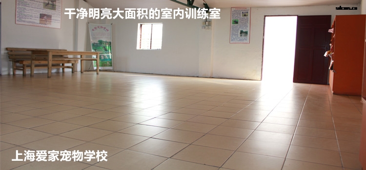 750专业室内训练3.jpg
