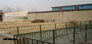 狗狗室外独立运动跑道