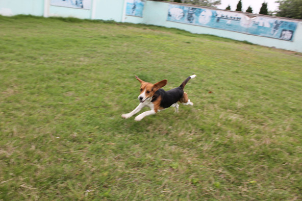 13051512186fcd0cf6052982c1.jpg