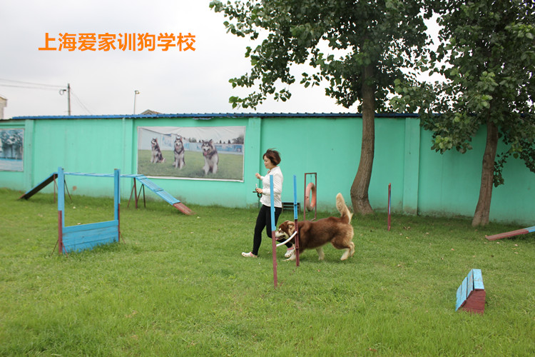 IMG_4276_副本.jpg