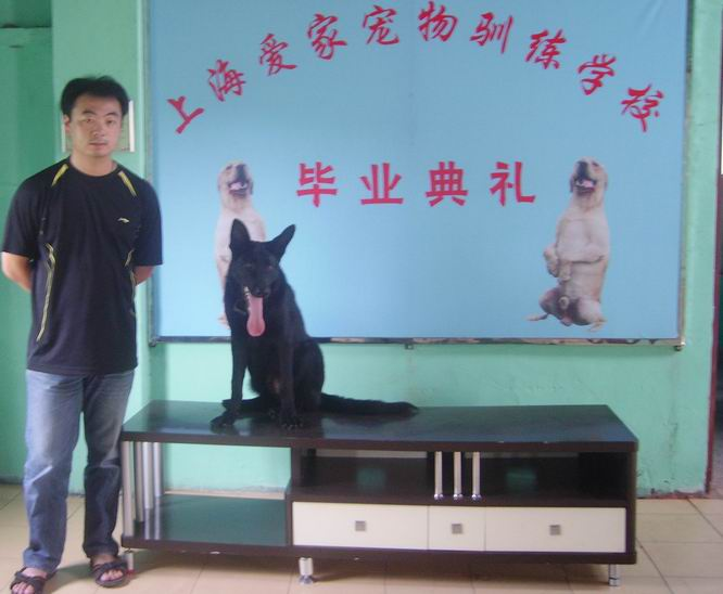 QQ图片20170908095857.png