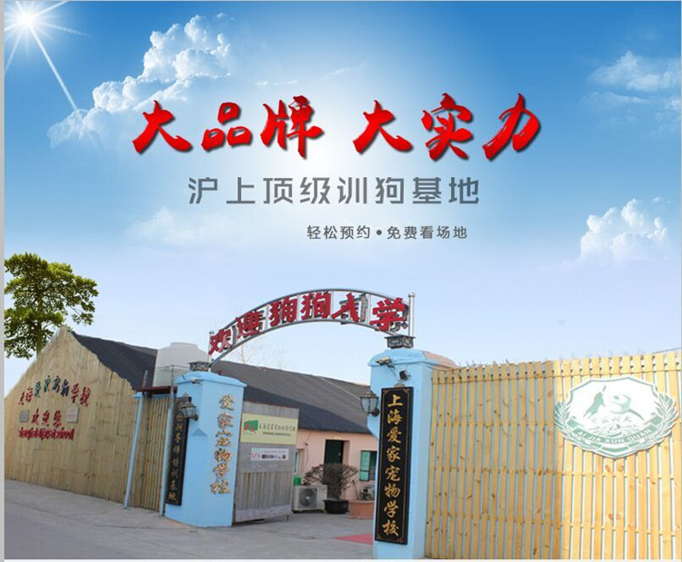 爱家训狗学校大门.jpg 爱家训狗学校大门.jpg