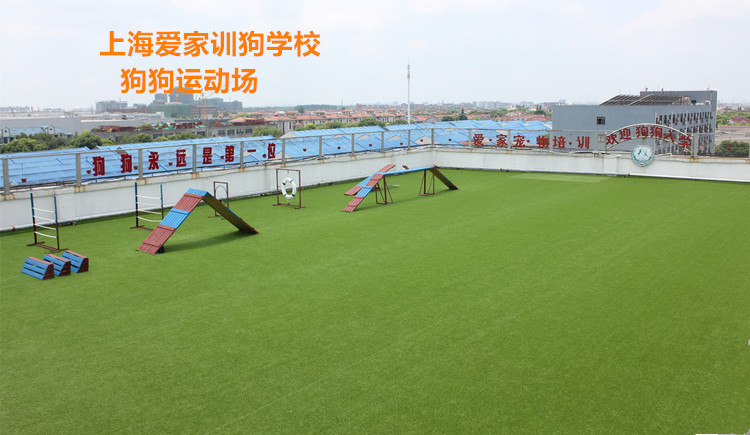 上海爱家宠物学校.jpg 上海爱家宠物学校.jpg