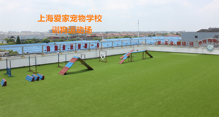 上海爱家训狗学校.jpg 上海爱家训狗学校.jpg