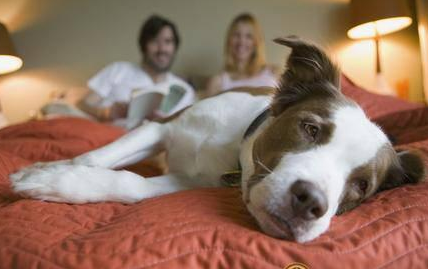 20160620180239e5d95.png 20160620180239e5d95.png