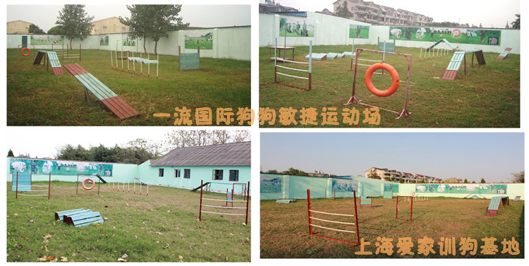 爱家训狗学校运动敏捷场组合图.jpg 爱家训狗学校运动敏捷场组合图.jpg