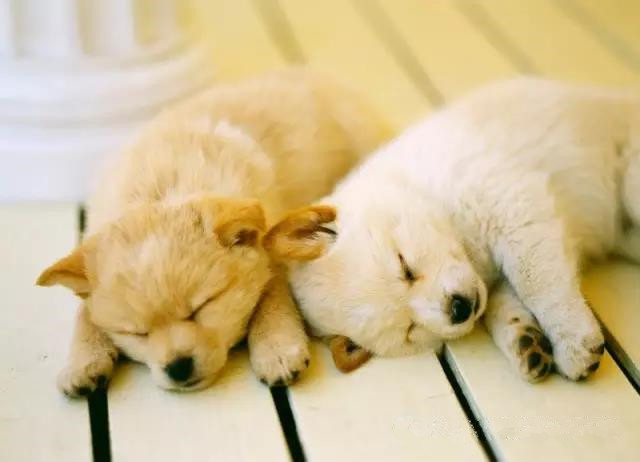 463dbae_副本.jpg 463dbae_副本.jpg