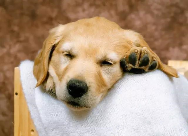 a1dc4f5_副本.jpg a1dc4f5_副本.jpg