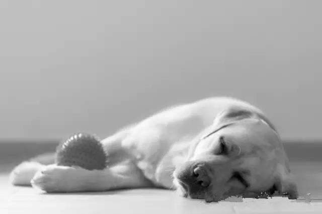 b754e9f_副本.jpg b754e9f_副本.jpg