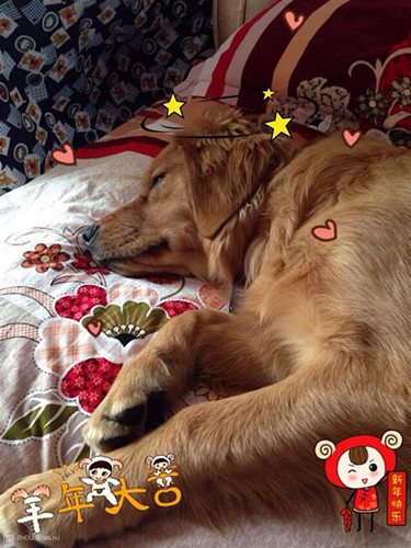 IMG_0209_副本.jpg IMG_0209_副本.jpg