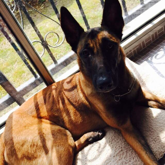 IMG_8609_副本.jpg IMG_8609_副本.jpg