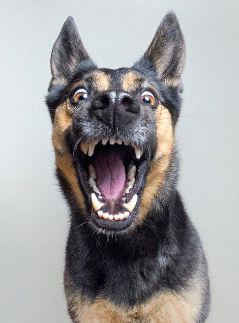 timg (6).jpg timg (6).jpg