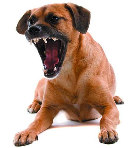 timg (2).jpg timg (2).jpg