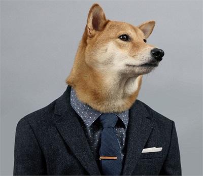 狗狗服装.jpg