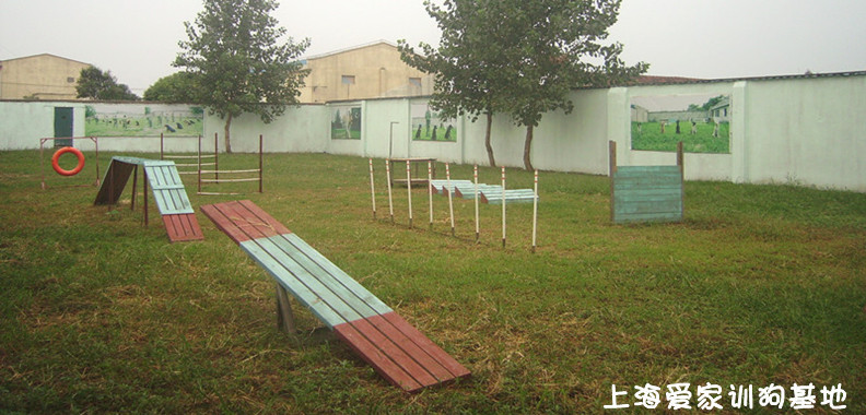 训狗基地,上海训狗学校.jpg 训狗基地,上海训狗学校.jpg