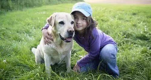 训练听话狗狗.jpg 训练听话狗狗.jpg