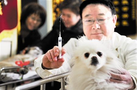 狗狗疫苗注射.jpg 狗狗疫苗注射.jpg