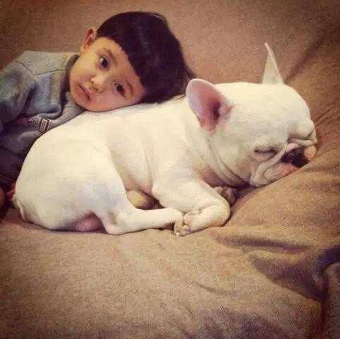 狗狗与小孩互动.jpg 狗狗与小孩互动.jpg