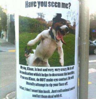 寻找狗狗.jpg 寻找狗狗.jpg