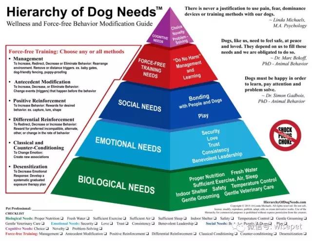 狗狗等级示意图.jpg