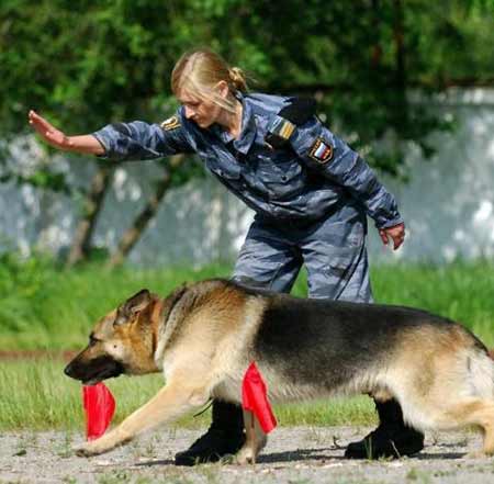 1590827_992621.jpg 1590827_992621.jpg