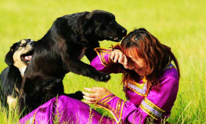 狗狗扑人,训狗不扑人.jpg 狗狗扑人,训狗不扑人.jpg