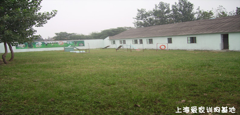 宠物训练,宠物学校.jpg 宠物训练,宠物学校.jpg