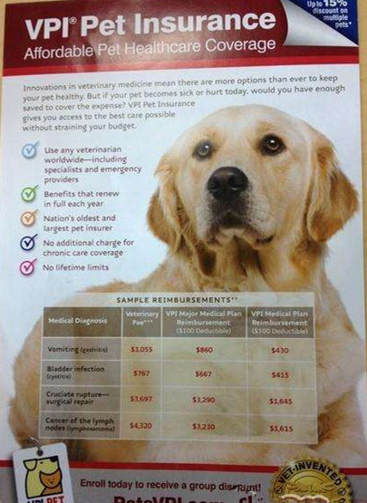 狗狗要保险.jpg 狗狗要保险.jpg