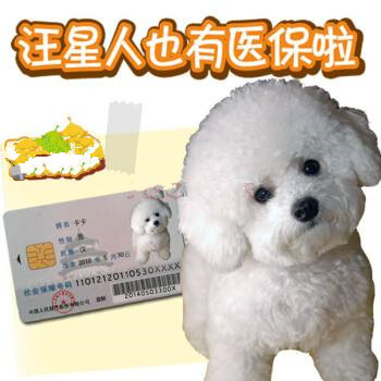 狗狗医保.jpg 狗狗医保.jpg