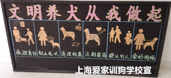 文明养狗狗宣传.jpg 文明养狗狗宣传.jpg