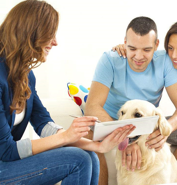 和狗狗沟通.jpg 和狗狗沟通.jpg