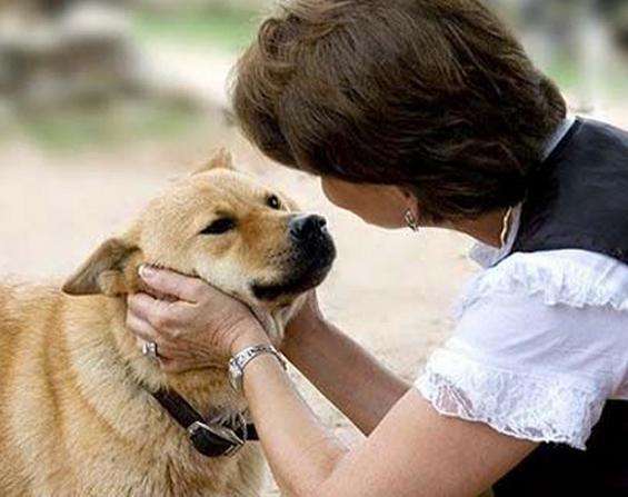 和狗狗心理沟通.jpg 和狗狗心理沟通.jpg