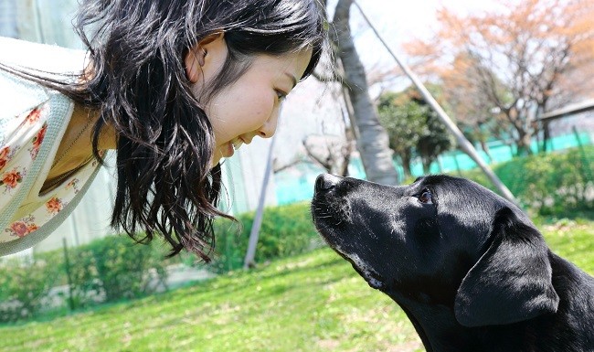 忠诚的狗狗.JPG 忠诚的狗狗.JPG