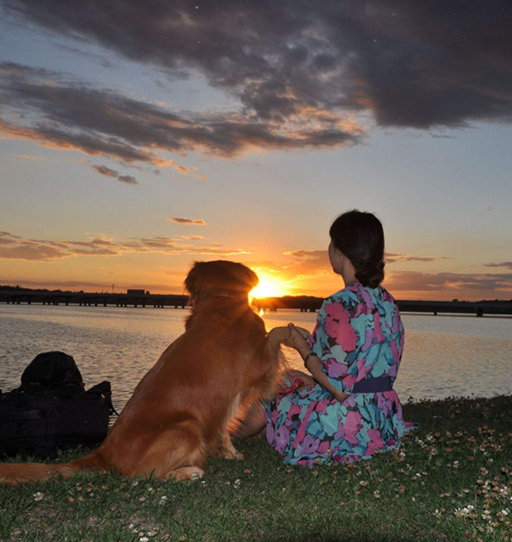 忠实伴侣犬.jpg 忠实伴侣犬.jpg