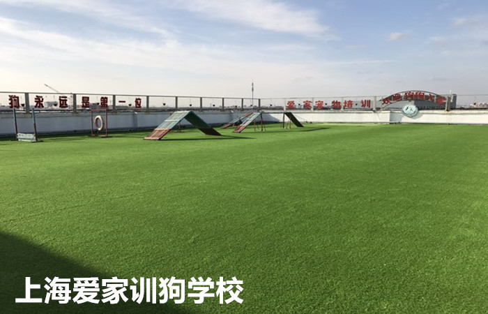 IMG_2166_副本.jpg IMG_2166_副本.jpg